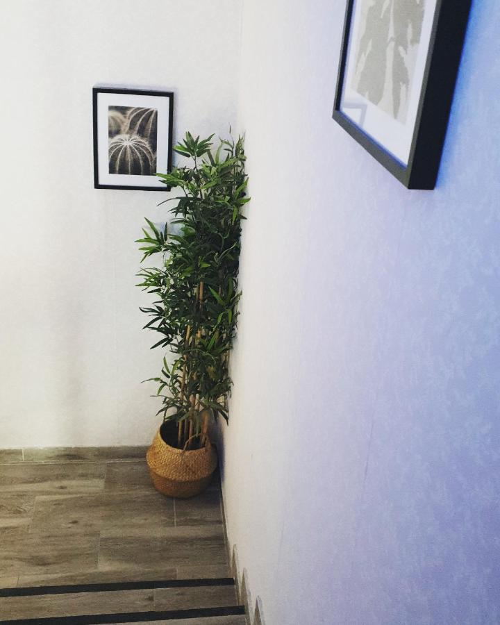 Alojamiento Weier La Cistérniga Exterior foto